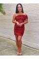 Short One Shoulder Sleeveless Velvet Sequin Cocktail Homecoming Dress / Prom Dress Brisbane